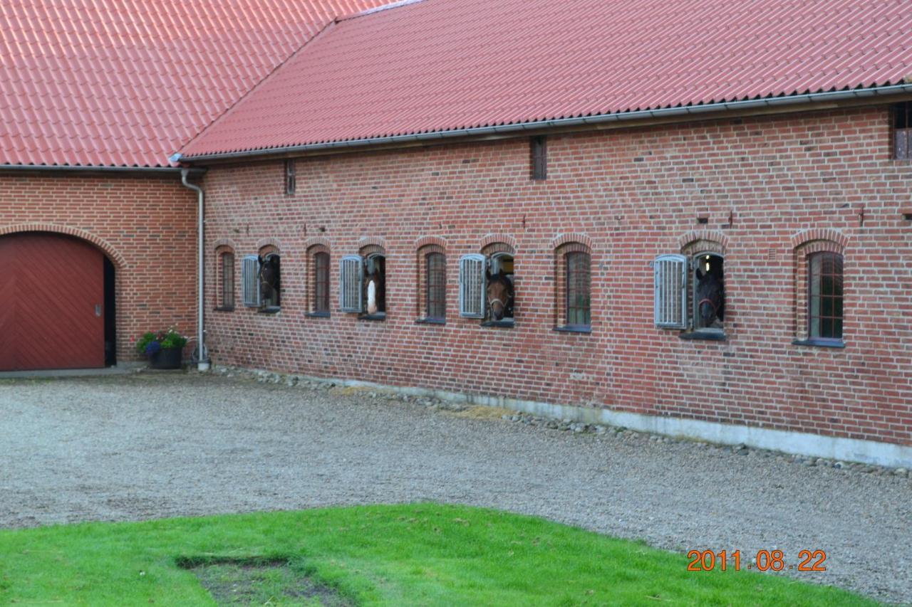 Bed & Breakfast Tistrup Esterno foto